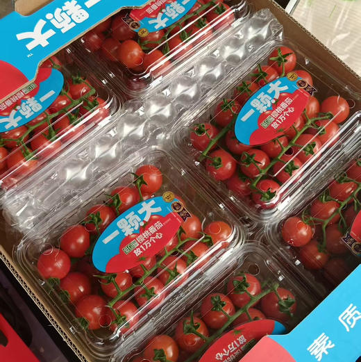 是谁的樱桃千禧番茄这么优秀？哦，是你的！来，直接上硬货：  0转基因、0人工激素、0重金属——真的能“放1万个心”！低GI，控糖减脂期的神仙零食~ 商品图3