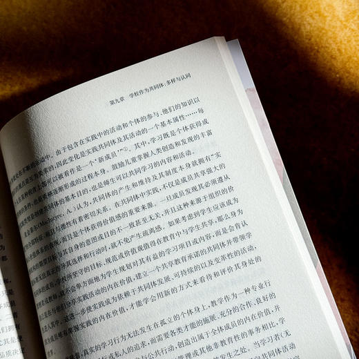 从有效到正当 当代学校变革的伦理审视 学校内部变革实践 程亮 商品图12