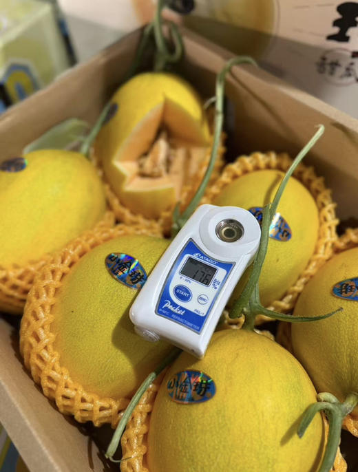 小金珠甜瓜（单个2斤左右） 商品图1