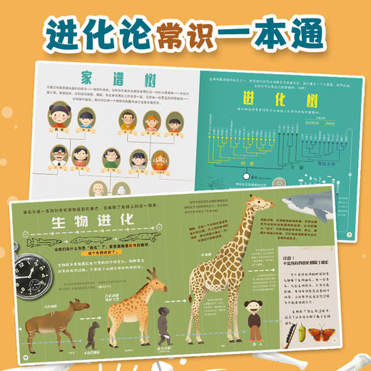 9岁+ 我的第一本量子物理学 礼盒装  6册  灿烛 商品图5