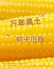 北纬47度低GI水果玉米220g*8支装（开袋即食）  JCT 商品缩略图6