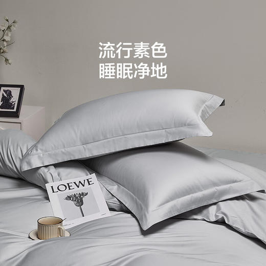 LOVO乐蜗 帕克里 床品四件套（床笠款） 商品图2