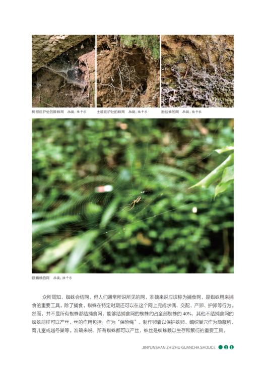 缙云山蜘蛛观察手册 商品图11