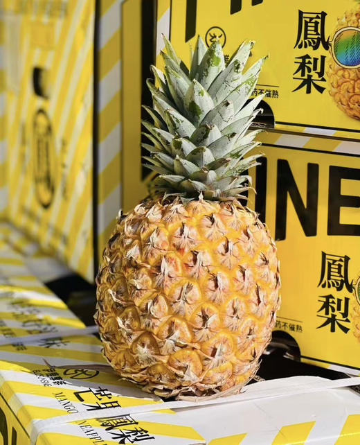 芒果凤梨🍍（9.8/斤群友价） 商品图0
