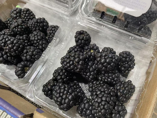 黑莓.花蝶香🦋 树莓一小盒 商品图3