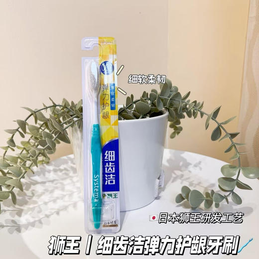 【满三组包邮】日本 狮王牙刷 细齿洁  精巧 护龈 净齿 抗敏牙刷 商品图7