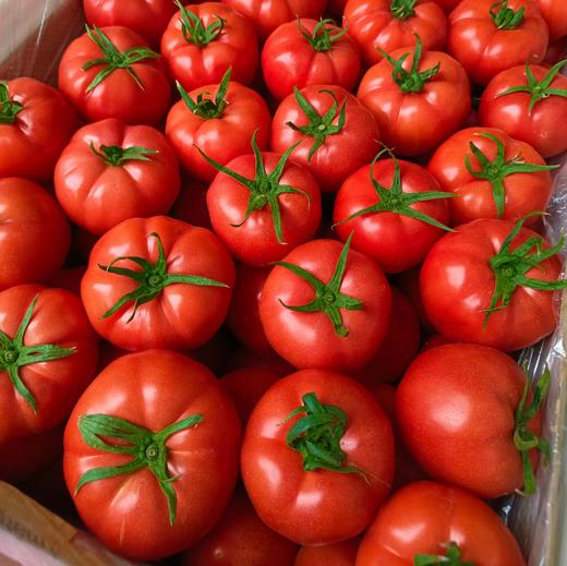 【普罗旺斯西红柿】果肉细沙厚实，一口飚汁，轻食减脂配餐，榨汁绝绝子，整个培育过程中保持不施化肥、🔥0膨大剂、0催红素，保证其最原始最纯真的样子自然生长 商品图6