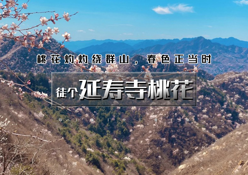 周末1日｜延寿寺桃花｜【适合新人】山桃花盛开の大黑山延寿寺10公里环穿<初级>
