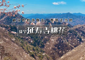 周末1日｜延寿寺桃花｜【适合新人】山桃花盛开の大黑山延寿寺10公里环穿<初级>