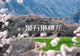 周末1日｜溜石港桃花｜万树桃花醉溜石+秘境梯田栈道-山洞拍照-古村探秘-打卡网红后院8公里休闲