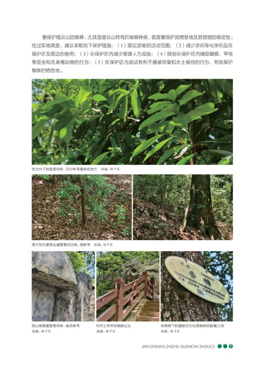 缙云山蜘蛛观察手册 商品图7