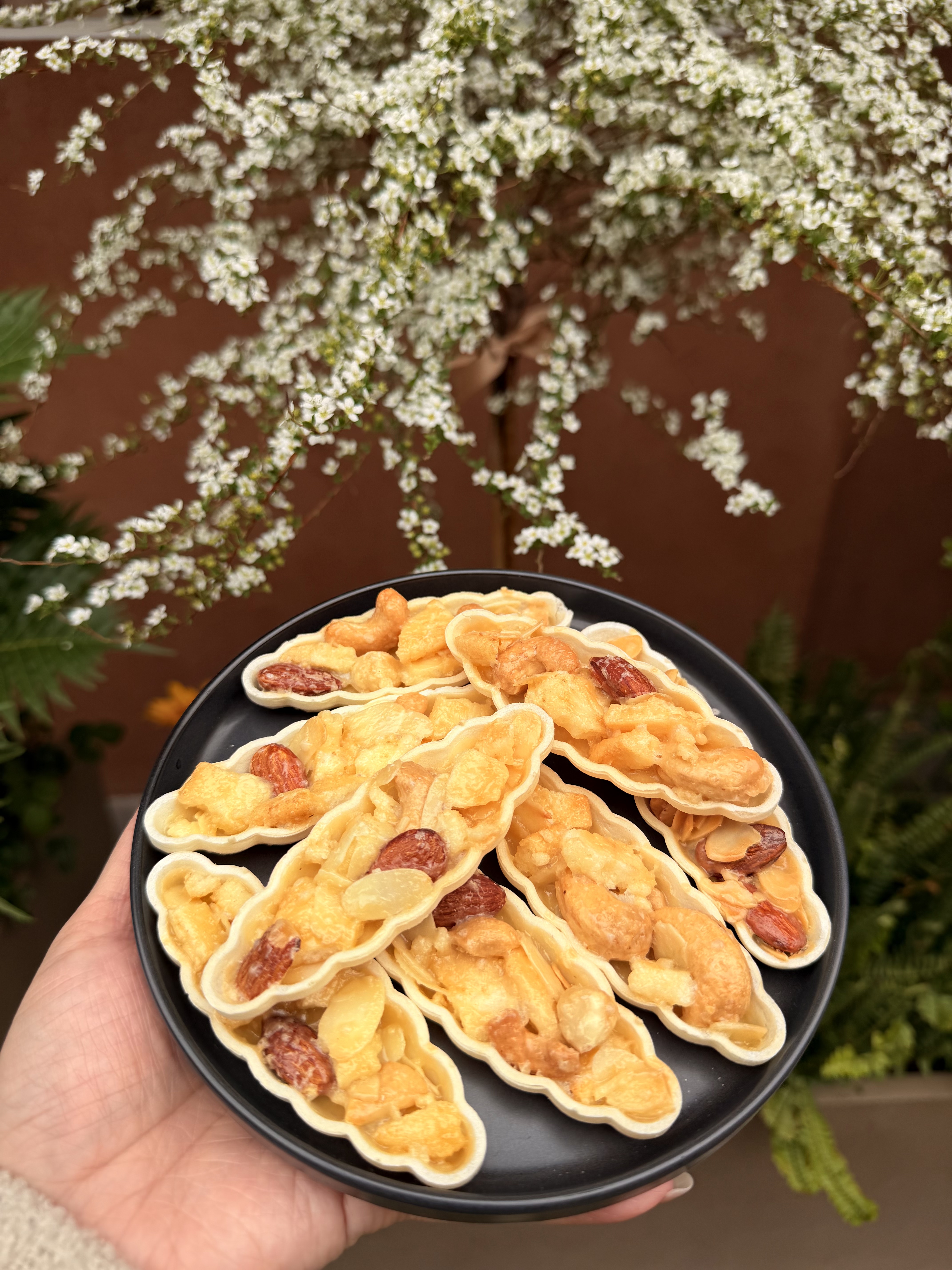 坚果船【茶歇干点】