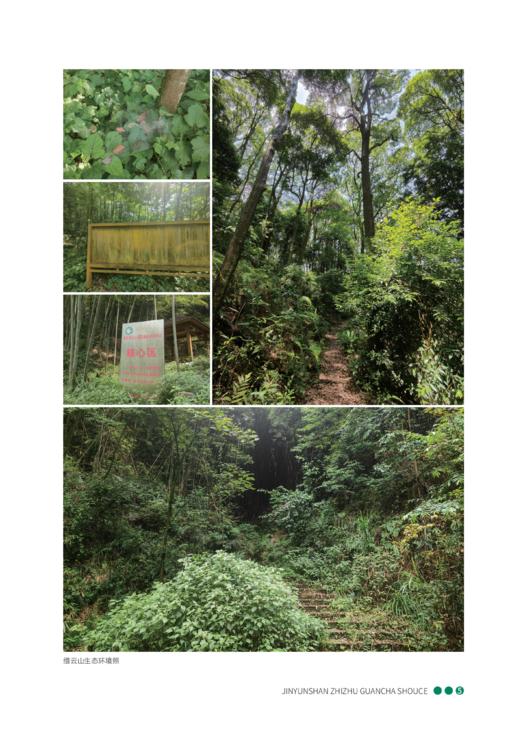 缙云山蜘蛛观察手册 商品图5