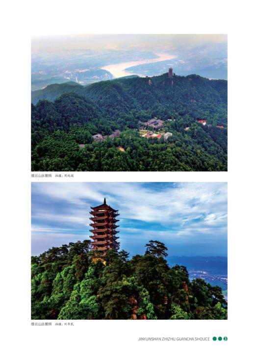 缙云山蜘蛛观察手册 商品图3