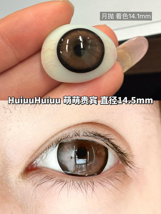 新品月抛大直径-Macycon-可爱比熊-萌萌贵宾-芝士小狗-14.5mm【月抛 0-800度 不含525/575】 商品图3