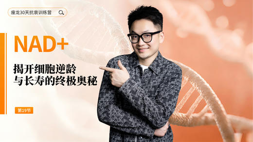 第19天 《NAD+ 辅酶一号 》：如何科学补 NAD+？（下） 商品图0