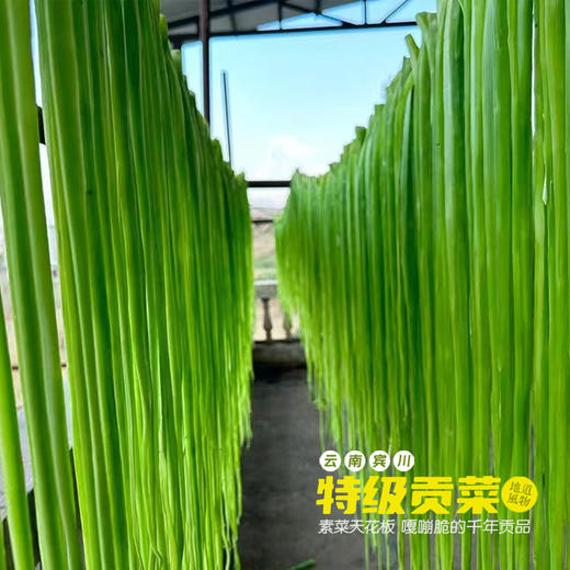 云南宾川特级贡菜 商品图3