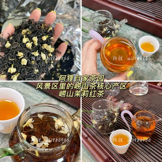 【崂山茉莉红茶】阿狸自己茶园，风景区里的崂山茶核心产区，天然山泉水灌溉 商品图0