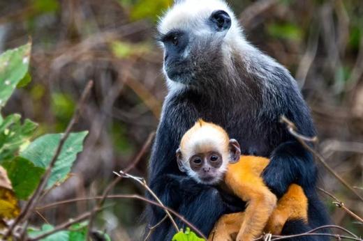 【五一华为专团】广西南宁+崇左+钦州探秘5天4晚 商品图4