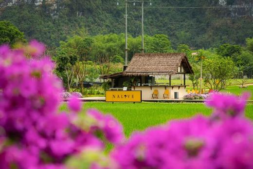 【五一华为专团】广西南宁+崇左+钦州探秘5天4晚 商品图3