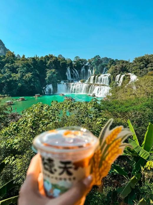 【五一华为专团】广西南宁+崇左+钦州探秘5天4晚 商品图7