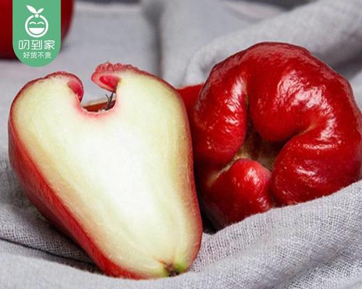 海南黑金刚莲雾（中果）/1份（共750g±50g） 商品图3