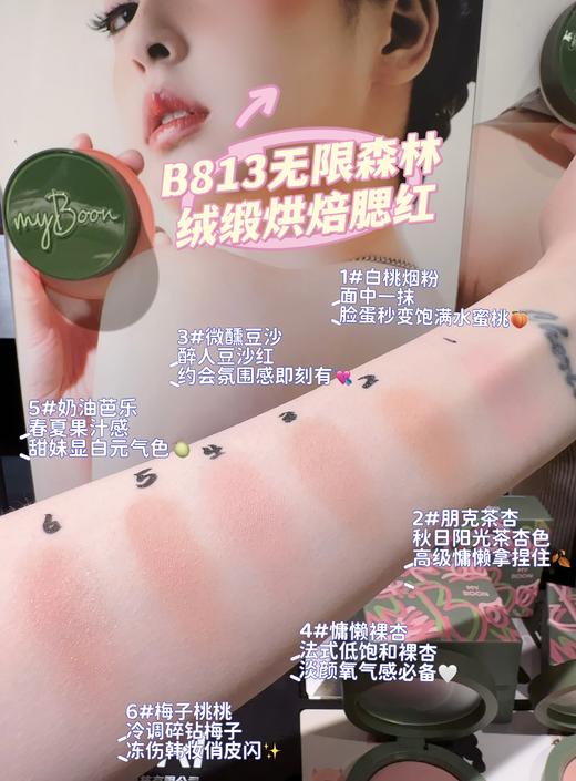B-813  无限森林绒缎烘焙腮红 商品图1