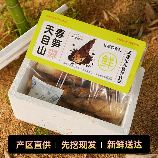 【产地京东直发】头茬天目山九狮村春笋 4斤 商品图0