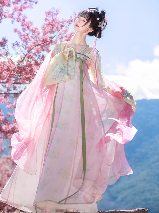 【重回汉唐云音瑶】正品原创唐制齐胸套装披帛春日汉服女款成人 商品图0