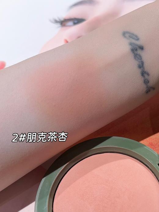 B-813  无限森林绒缎烘焙腮红 商品图2