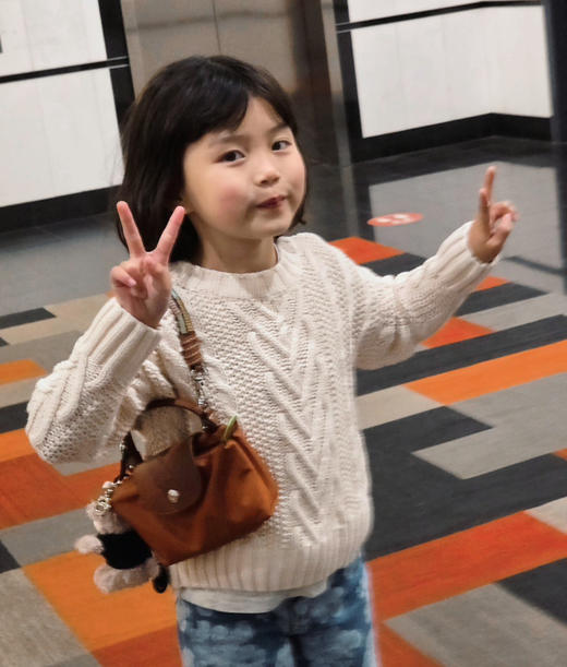 珑骧 Le Pliage Original 迷你手提饺子包9.3 商品图2