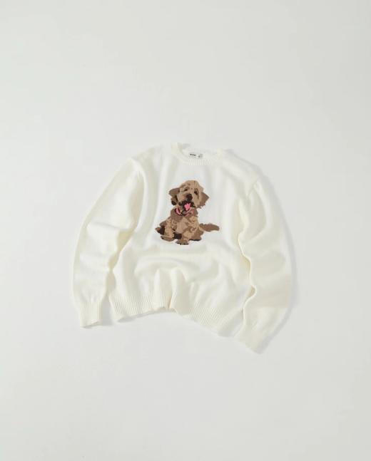 F032041春季新款男女同款提花金毛小狗圆领针织长袖毛衣 商品图0