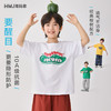 男童2026夏季新款童装纯棉短袖T恤抗菌夏装上衣儿童薄款   FY-H6ba16 商品缩略图0