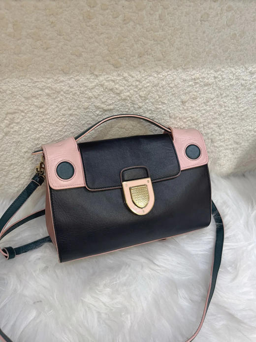 Dior Ever Mini 盾牌 黑粉 牛皮 手提 斜挎包 商品图0