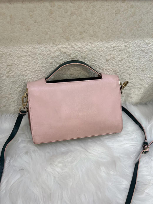 Dior Ever Mini 盾牌 黑粉 牛皮 手提 斜挎包 商品图1