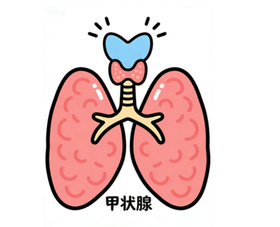  【健康科普】春天嗜睡、没力气还长胖？别归为懒，可能是甲状腺在“报警”