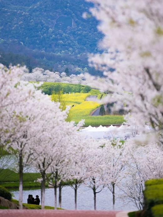 花田美地丨武义花之秀庄园酒店/安琪儿/丹尼尔酒店×1晚或2晚套餐 商品图1