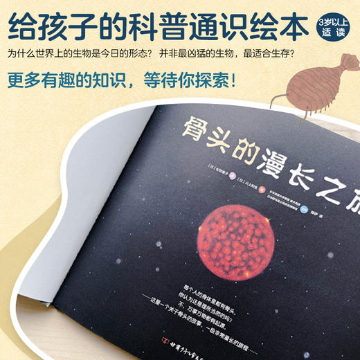 骨头的漫长之旅 商品图2