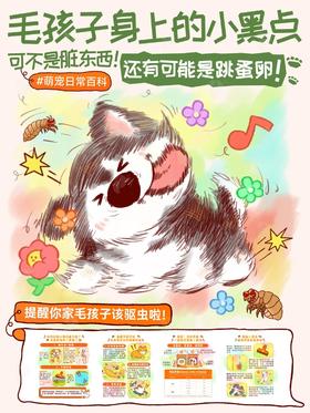 毛孩子身上的小黑点是什么🤔可能是跳蚤卵❗️