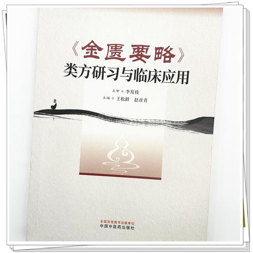 《金匮要略》类方研习与临床应用 王松岭 赵彦青 主编 适用于中医药院校本科生、硕博研究生等 9787524702412 中国中医药出版社 商品图4