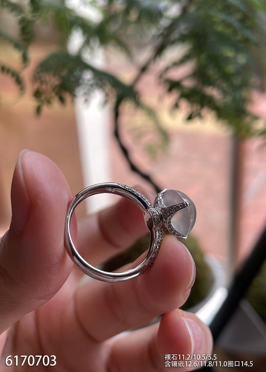 6170703，蛋面戒指。具体价格微信咨询 商品图5