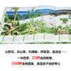 山野郊游图鉴  日本小学馆第58回儿童出版文化赏 商品缩略图1