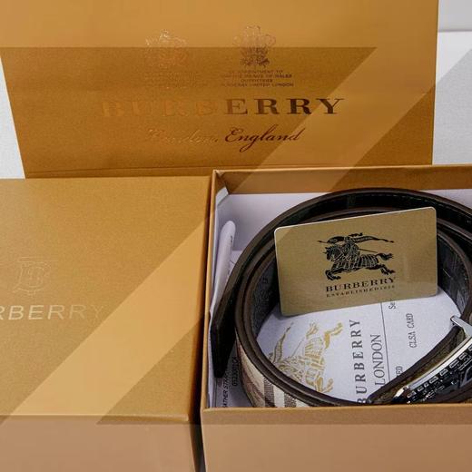 F032087复古方框造型镂空字母板扣配色格纹高品质皮带 商品图5