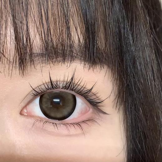 新品月抛大直径-Macycon-可爱比熊-萌萌贵宾-芝士小狗-14.5mm【月抛 0-800度 不含525/575】 商品图2