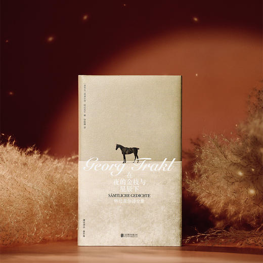 在夜的金枝与星辰下：特拉克尔诗全集 商品图2