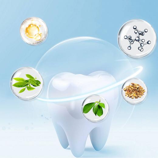 幽螺莎星牙膏140g*3支+25g*3支 商品图4