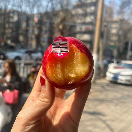 【智利超大樱桃李】原名杏李，品种粉红李到货 果肉香甜（除了皮一丢丢酸没毛病） 肉肉超级厚 水润爆汁，具有一定抗a和增强肌体活力、延H衰L的作用 商品图4