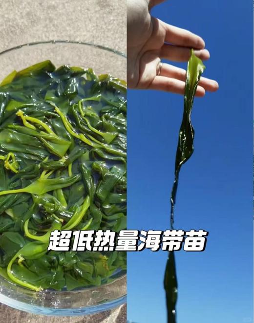 特级海带嫩苗🍃每一口都能感受到来自海洋清新自然的美味~ 商品图0