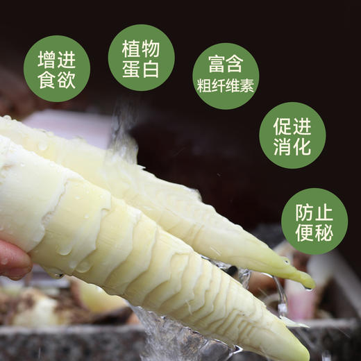 【产地京东直发】头茬天目山九狮村春笋 4斤 商品图2