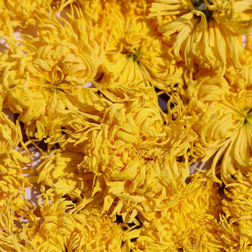 【逐南味】金边玫瑰&金丝皇菊 特级严选 无硫锁鲜 口感清甜 温润不涩 商品图6